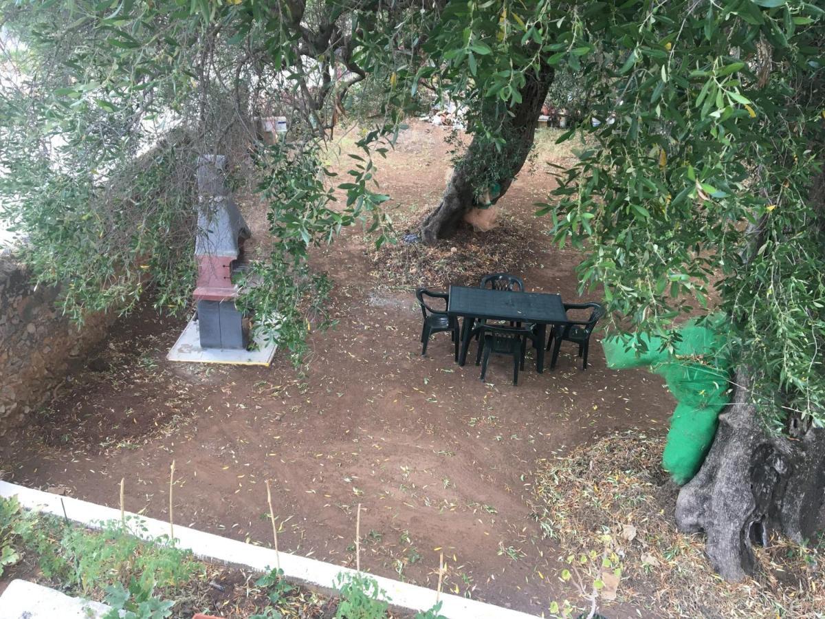 Casa Vacanza Maria Antonieta Marina di Camerota Exterior foto
