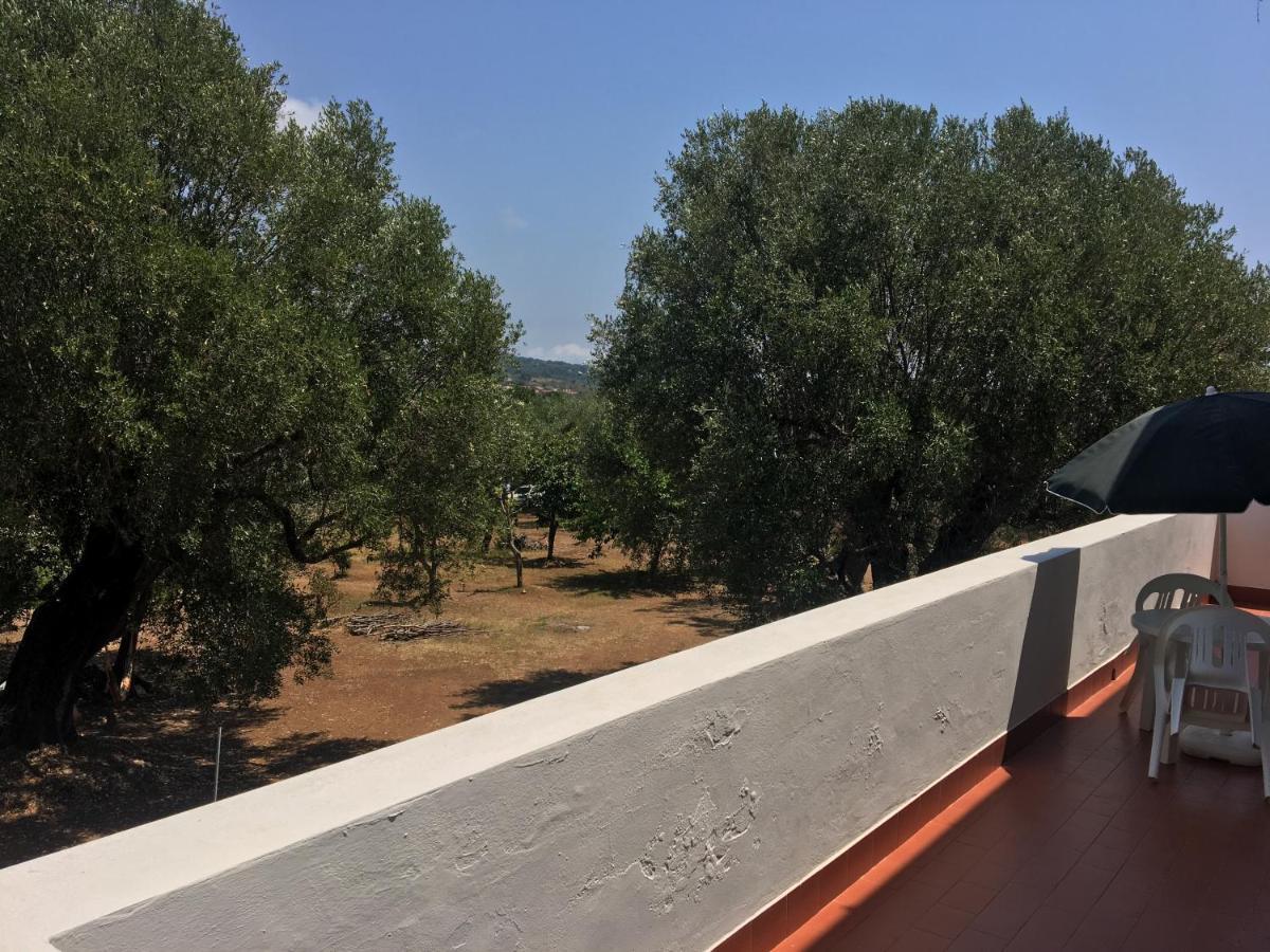 Casa Vacanza Maria Antonieta Marina di Camerota Exterior foto