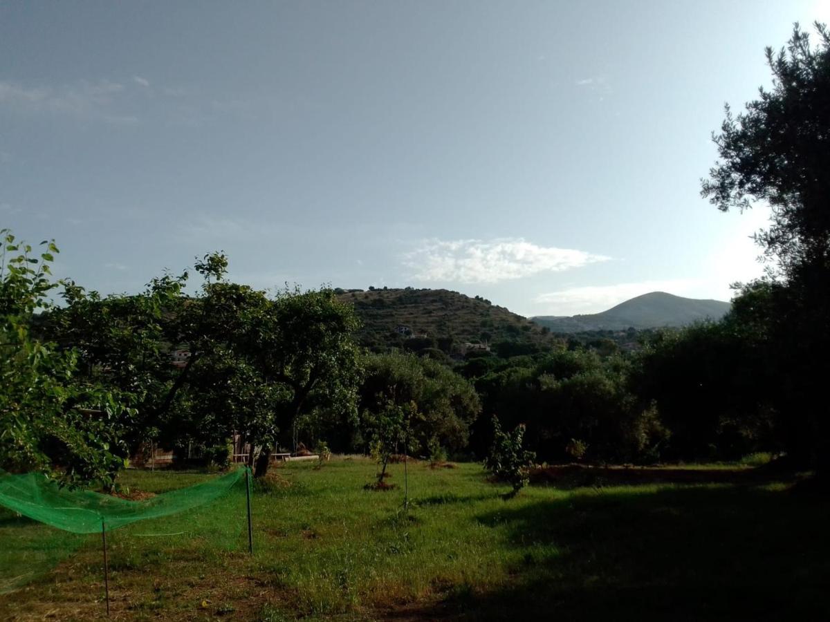 Casa Vacanza Maria Antonieta Marina di Camerota Exterior foto