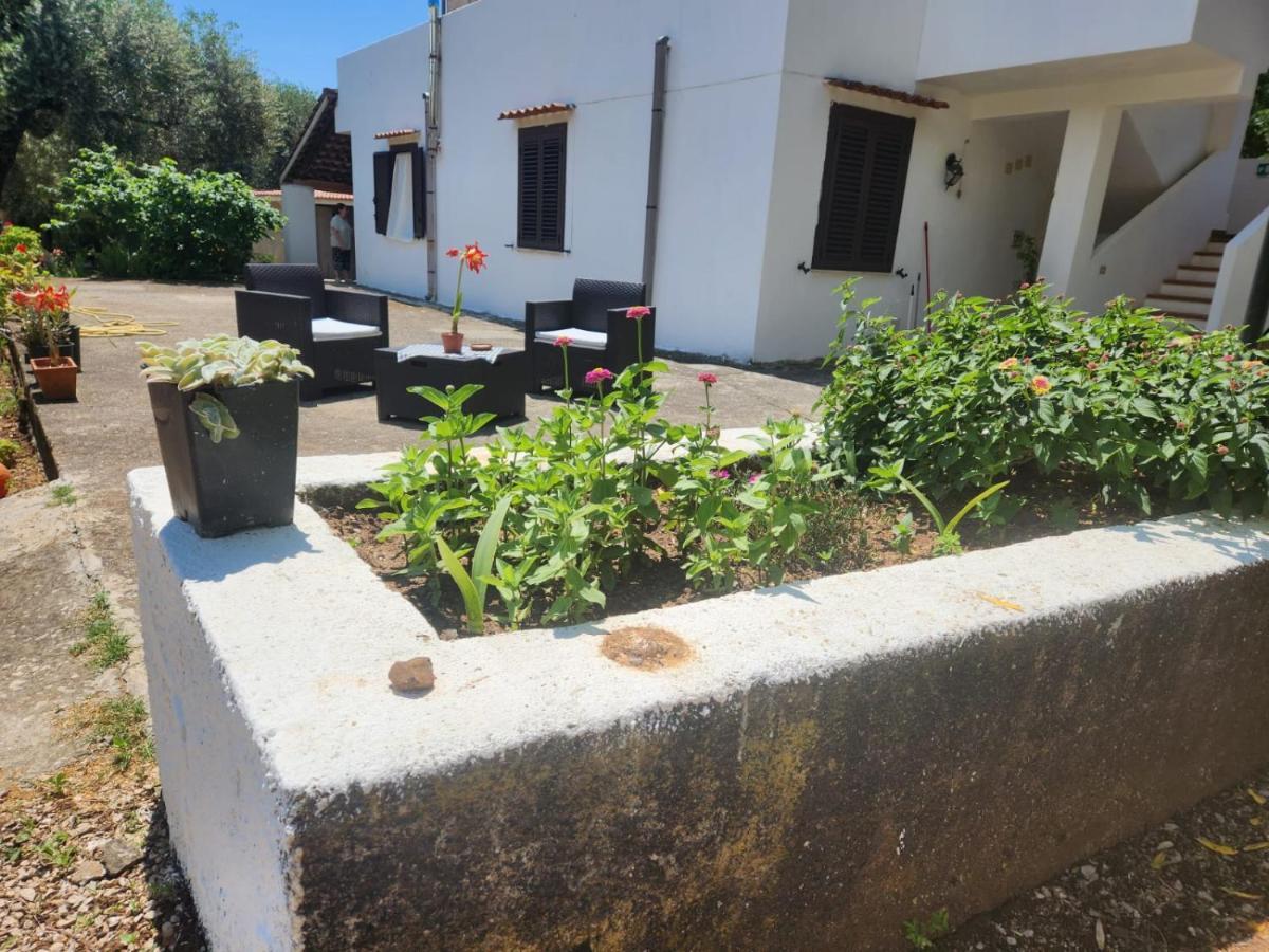 Casa Vacanza Maria Antonieta Marina di Camerota Exterior foto